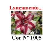 ENXERTO 11942 – 20cm (cor LM 1005)