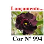 ENXERTO 11984 – 20cm (cor LM 994)