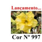 ENXERTO 11967 – 20cm (cor LM 997)