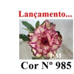 ENXERTO 11978 – 20cm (cor LM 985)