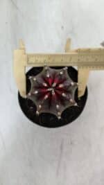 GYMNOCALYCIUM Mihanovichii Purple Nº 572 – vaso 09 - Imagem 5