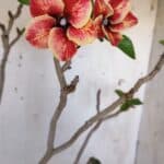 Planta Simples 2956 – 35cm – 03 anos