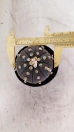 ASTROPHYTUM ASTERIAS “Purple”  Nº 956 – vaso 09 - Imagem 5