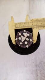 ASTROPHYTUM ASTERIAS “Purple”  Nº 937 – vaso 09 - Imagem 5