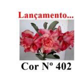 ENXERTO 12055 – 20cm (cor LM 402) - Imagem 8