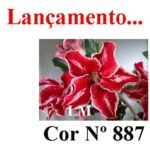 ENXERTO 12056 – 20cm (cor LM 887) - Imagem 6