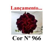 ENXERTO 12031 – 20cm (cor LM 966)