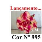 ENXERTO 12036 – 20cm (cor LM 995) - Imagem 8