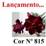 ENXERTO 12080  – 20cm (cor LM 815) - Imagem 8