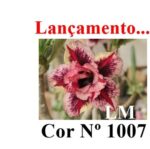 ENXERTO 12095  – 20cm (cor LM 1007) - Imagem 7