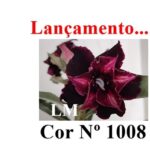 ENXERTO 12093  – 20cm (cor LM 1008) - Imagem 8