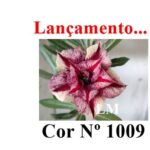 ENXERTO 12101  – 20cm (cor LM 1009) - Imagem 8
