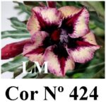 ENXERTO 12085  – 20cm (cor LM 424) - Imagem 8