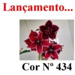 ENXERTO 12066 – 22cm (cor LM 434) - Imagem 7