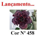 ENXERTO 12105  – 30cm (cor LM 458) - Imagem 8