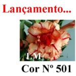 ENXERTO 12061 – 20cm (cor LM 501) - Imagem 10