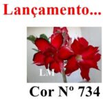 ENXERTO 12060 – 30cm (cor LM 734) - Imagem 8