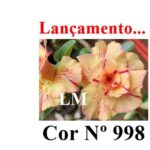 ENXERTO 12096  – 20cm (cor LM 998) - Imagem 9