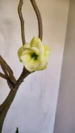 Planta Dobrada 3297 – 55cm – 03 anos - Imagem 4