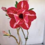 Planta Dobrada 3310 – 35cm – 03 anos