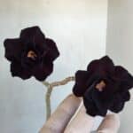 Planta Dobrada 3314 – 35cm – 03 anos