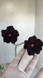 Planta Dobrada 3314 – 35cm – 03 anos