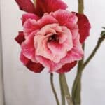 Planta Dobrada 3368 – 35cm – 03 anos