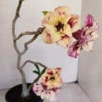 Planta Dobrada 3381 – 35cm – 03 anos