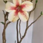 Planta Simples 3082 – 50cm – 03 anos