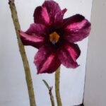 Planta Simples 3131 – 30cm – 02 anos