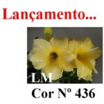 ENXERTO 12169 – 20cm (cor LM 436)