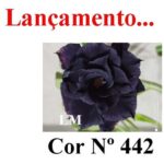 ENXERTO 12127  – 20cm (cor LM 442) - Imagem 7