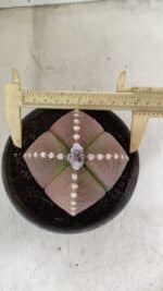 ASTROPHYTUM MYRIOSTIGMA "4 Quinas" Nº 1061 – vaso 15