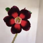 Planta Simples 3164 – 30cm – 02 anos