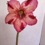 Planta Simples 3180 – 40cm – 04 anos