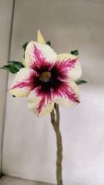 Planta Simples 3226 – 35cm – 03 anos