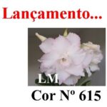 ENXERTO 12195 – 20cm (cor LM 615) - Imagem 7