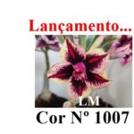 ENXERTO 12209 – 20cm (cor LM 1007) - Imagem 8