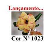ENXERTO COR LM 1023
