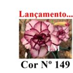 ENXERTO 12170 – 20cm (cor LM 149) - Imagem 6