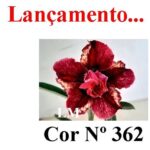 ENXERTO 12324 – 20cm (cor LM 362) - Imagem 7