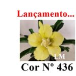 ENXERTO 12295 – 20cm (cor LM 436) - Imagem 8
