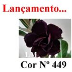 ENXERTO 12266 – 20cm (cor LM 449) - Imagem 7