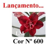 ENXERTO 12309 – 30cm (cor LM 600) - Imagem 9