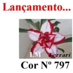 ENXERTO 12299 – 20cm (cor LM 797) Id: Ferrari - Imagem 7