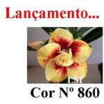 ENXERTO 12269 – 25cm (cor LM 860) - Imagem 7