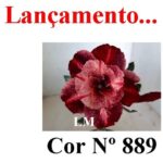 ENXERTO 12276 – 20cm (cor LM 889) - Imagem 7