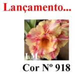 ENXERTO 12308 – 20cm (cor LM 918) - Imagem 9