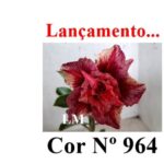 ENXERTO 12344 – 20cm (cor LM 964) - Imagem 7