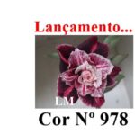 ENXERTO 12322 – 22cm (cor LM 978) - Imagem 10